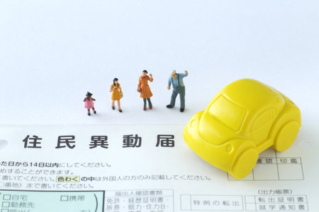事故リスクと車両保険加入のバランス：日本独自の交通事情を踏まえて