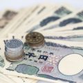 終身型保険の解約返戻金と貯蓄性—日本人が好む保障と貯蓄のバランス